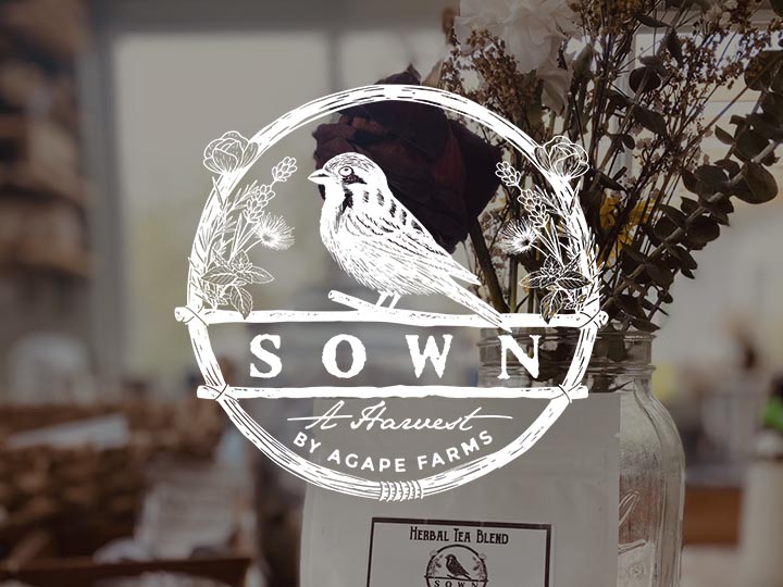 Sown Harvest Blog